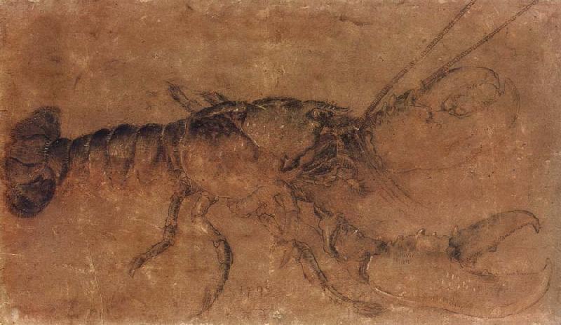 Albrecht Durer A Lobster oil painting image